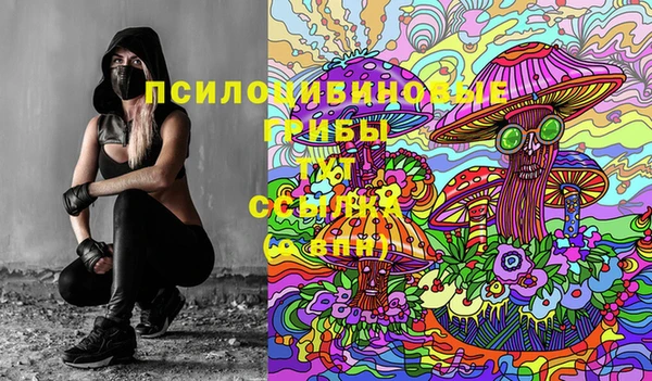 сатива Краснотурьинск