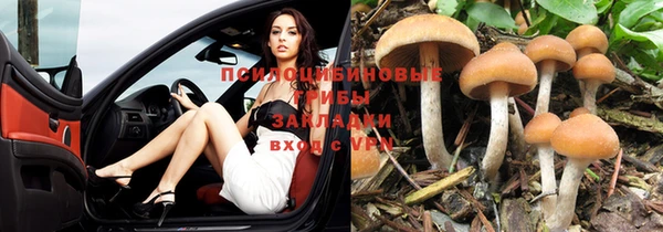кокс Краснослободск