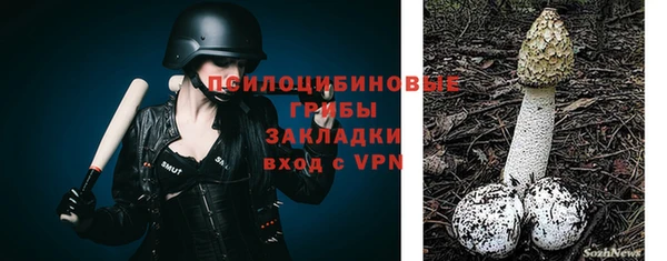 сатива Краснотурьинск