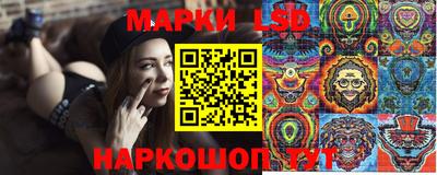 индика Партизанск
