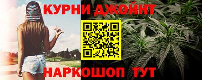 индика Партизанск