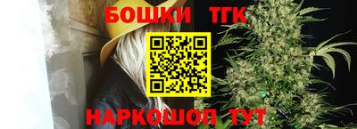 индика Партизанск