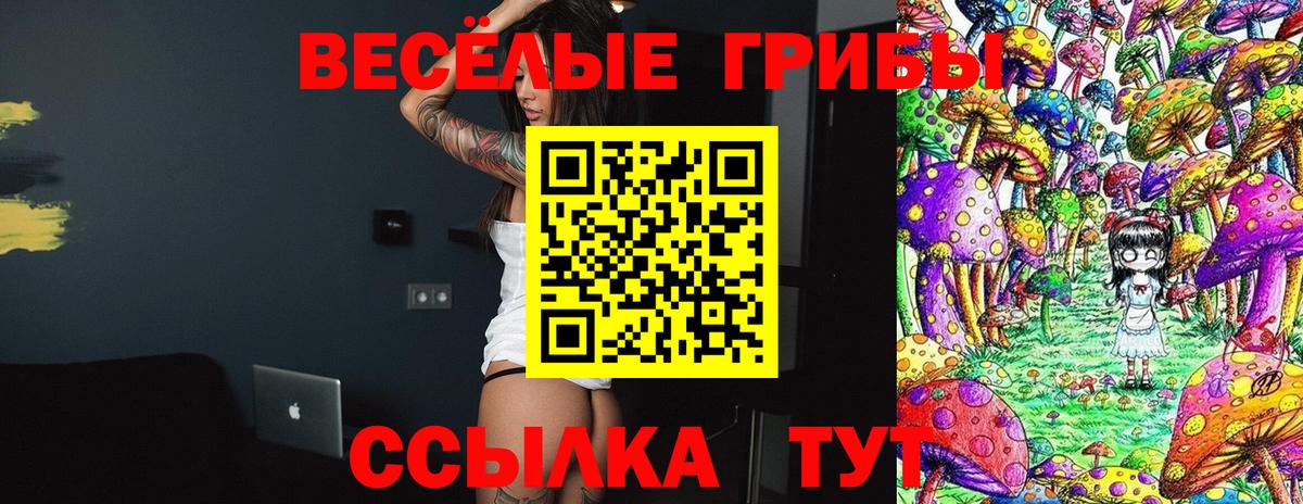 Псилоцибиновые грибы Cubensis  Вход с VPN  Галлюциногенные грибы ЛСД  Топки 