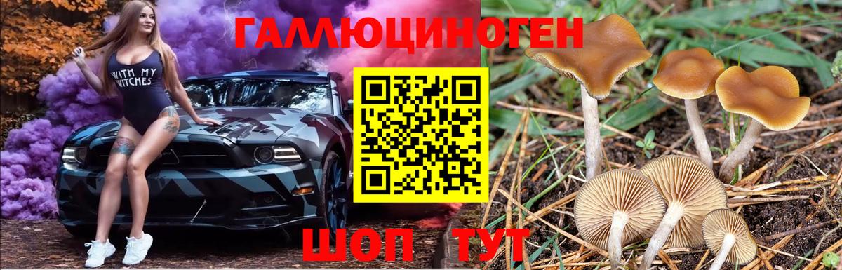 Псилоцибиновые грибы MAGIC MUSHROOMS Топки