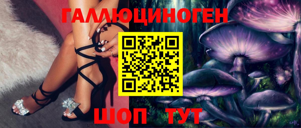 Псилоцибиновые грибы мицелий  Псилоцибиновые грибы Psilocybe  Топки 